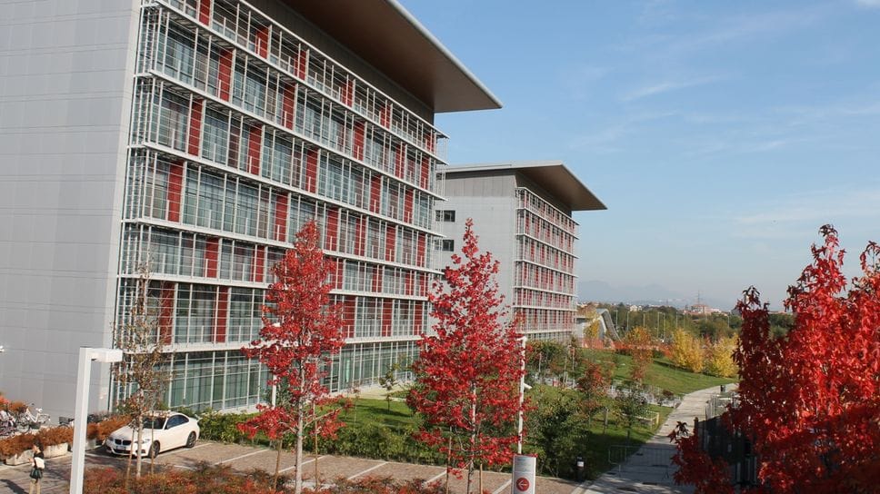 Leucemia, fondi per due milioni: all’ospedale «Papa Giovanni» un progetto triennale sui pazienti adulti