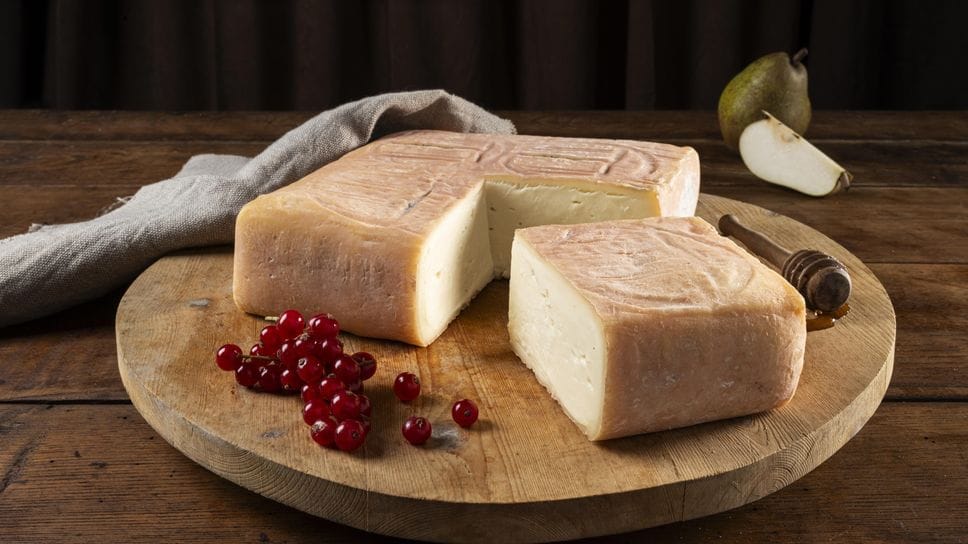 Il Taleggio Dop sempre più internazionale: cresce la produzione con 8,7 milioni di chili