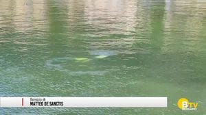 Lago d'Iseo, prima tappa di Fondali Puliti a Costa Volpino