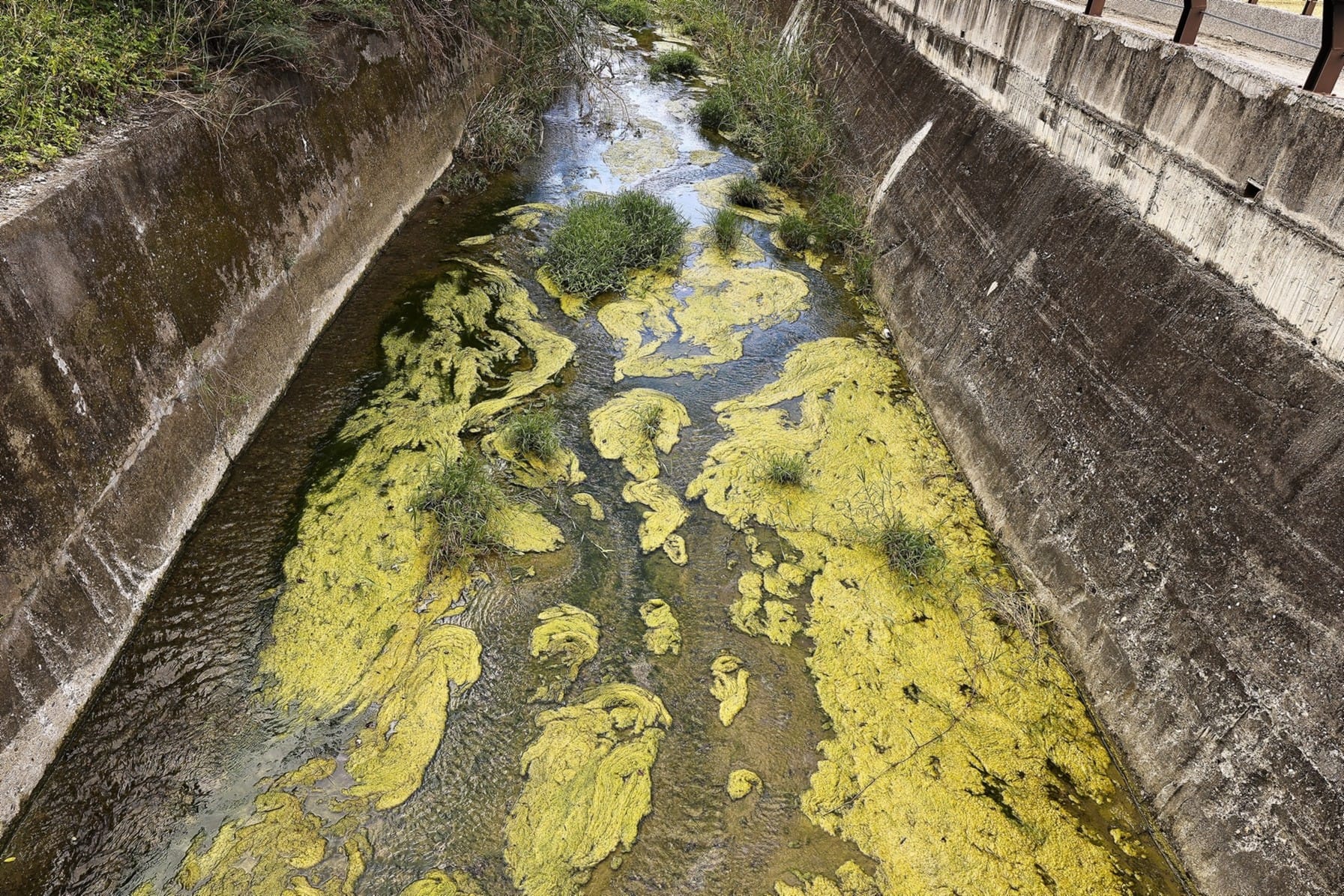 Pulizie di primavera green: meno sprechi per una casa più pulita