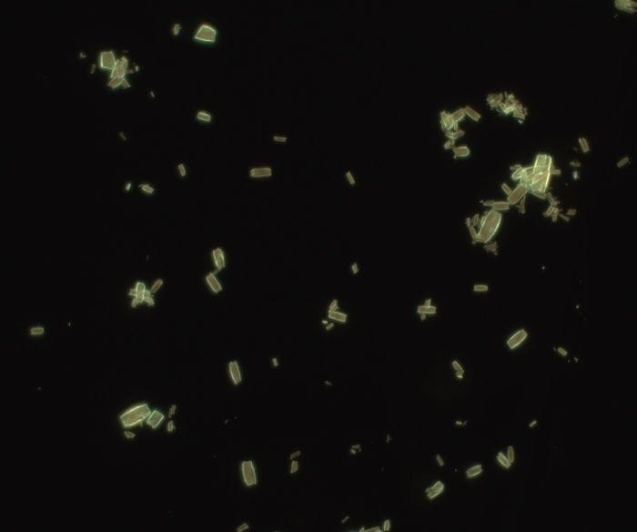Verso nuovi materiali che usano la luce per produrre combustibili 