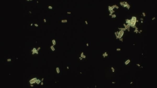 Verso nuovi materiali che usano la luce per produrre combustibili 