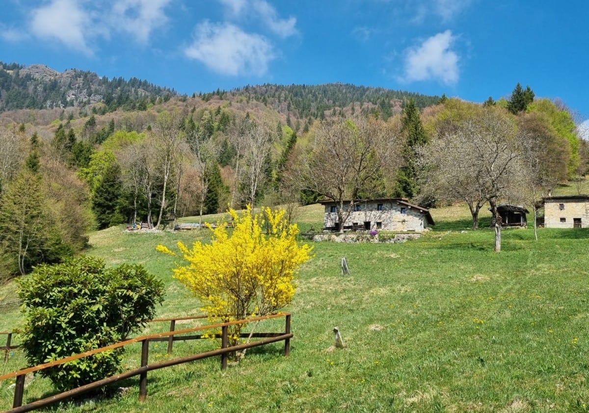 Un trekking nella Valle di Averara tra affreschi, borghi e panorami sul Monte Disner