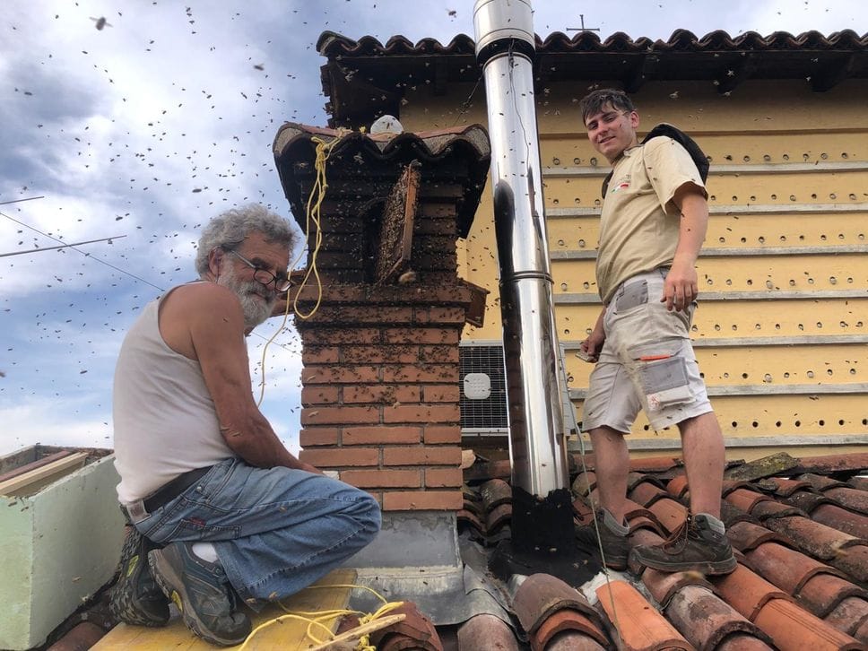 La crescita degli apicoltori bergamaschi: «Condizioni difficili, qui un’isola felice»
