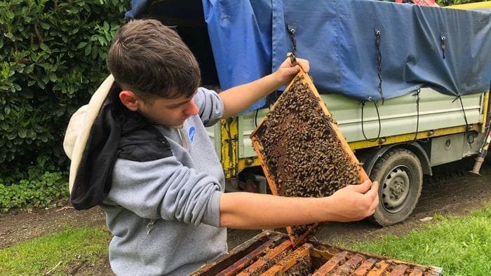 la crescita degli apicoltori bergamaschi condizioni difficili qui un8217isola felice da Ecodibergamo.it la crescita degli apicoltori bergamaschi condizioni difficili qui un8217isola felice