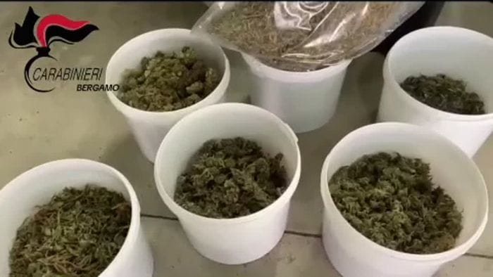 https://storage.ecodibergamo.it/media/photologue/2026/5/21/photos/cache/gazzaniga-scoperta-coltivazione-indoor-di-marijuana-arrestato-un-43enne_fc015bd6-5537-11f1-ae0e-72b229a51ad1_1920_1080_v3_large_16_9.jpg
