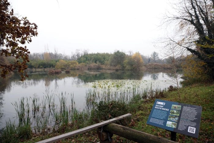 Giornata Biodiversità, Wwf lancia corso di Biologia della conservazione
