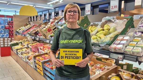Greenpeace, campagna nei supermarket contro i pesticidi