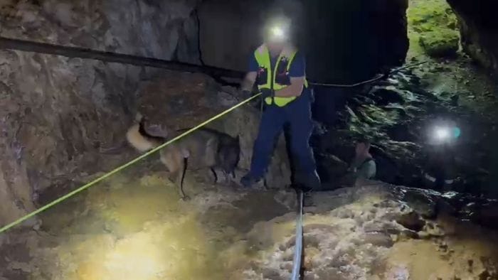 https://storage.ecodibergamo.it/media/photologue/2026/5/21/photos/cache/pamela-genini-finora-senza-esito-le-ricerche-nelle-grotte-con-laiuto-dei-cani_9698be28-5533-11f1-ae0e-72b229a51ad1_1920_1080_v3_large_16_9.jpeg