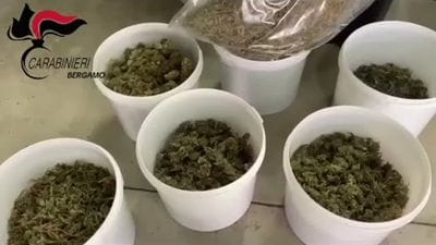 https://storage.ecodibergamo.it/media/photologue/2026/5/21/photos/cache/sequestro-marijuana-a-gazzaniga_51b9e94e-5538-11f1-ae0e-72b229a51ad1_1920_1080_display.jpg
