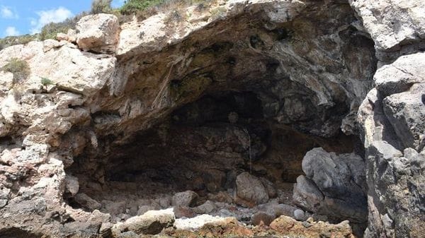 Anche i Neanderthal raccoglievano i molluschi nei mesi freddi