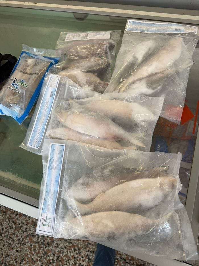 Carne e pesce conservati male e senza tracciabilità: chiuso market etnico a Gorle