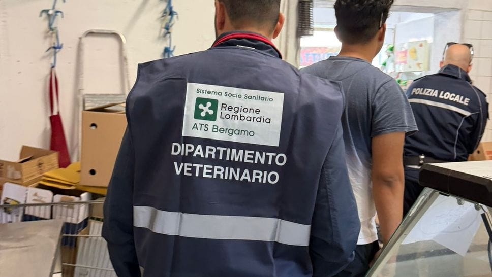 Carne e pesce conservati male e senza tracciabilità: chiuso market etnico a Gorle
