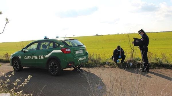 Wwf, recepimento incompleto direttiva Ue su crimini ambientali