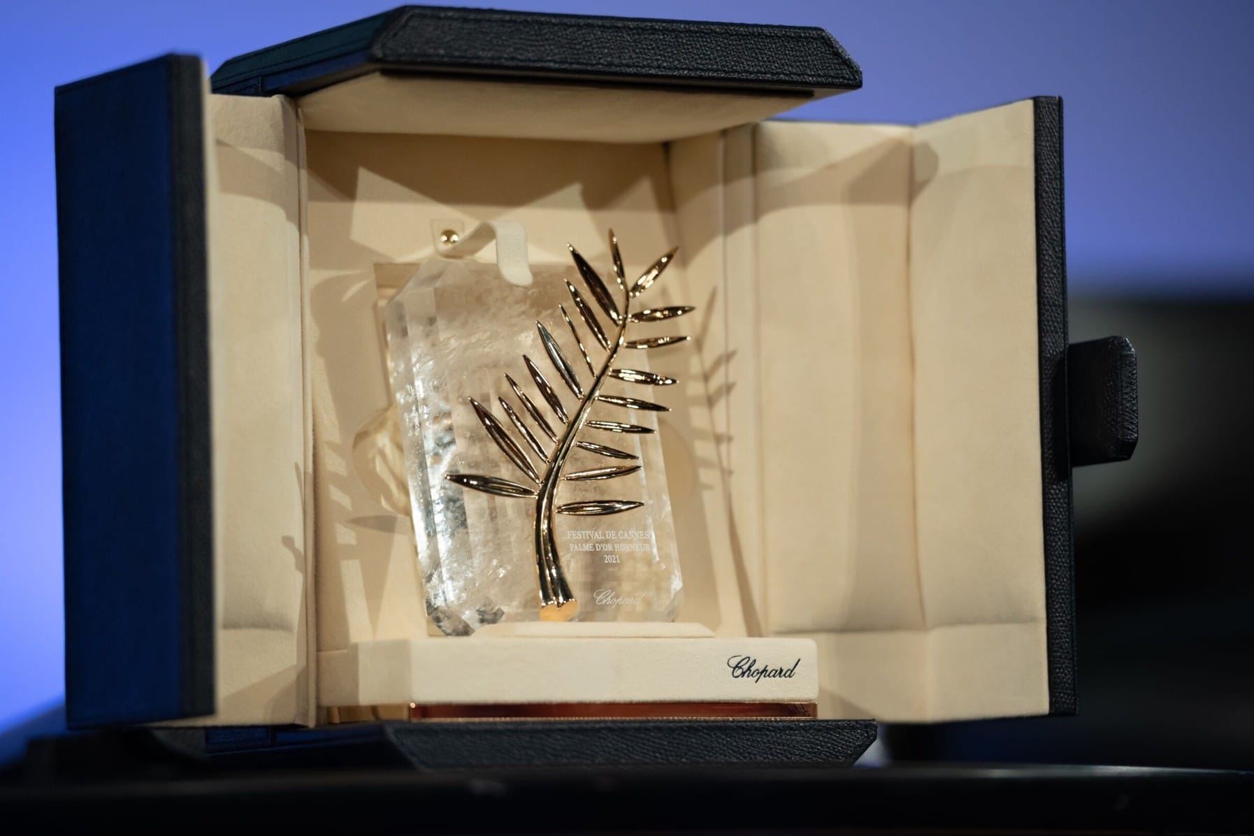 Cannes 2026: il festival e tutto quello che resta fuori dallo schermo