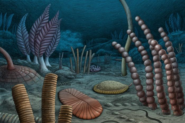Organismi fossili degli abissi riscrivono la storia dell'evoluzione