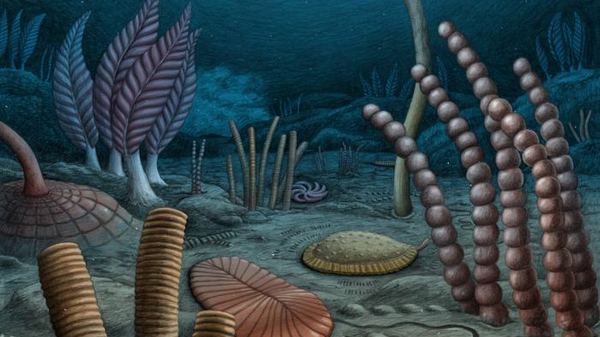 Organismi fossili degli abissi riscrivono una pagina dell'evoluzione