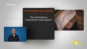 IN VOSTRA COMPAGNIA