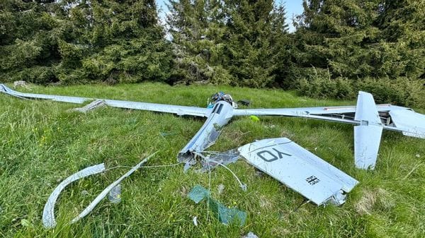 Gorno, precipita nei boschi con l’aliante a motore: muore 68enne - Foto