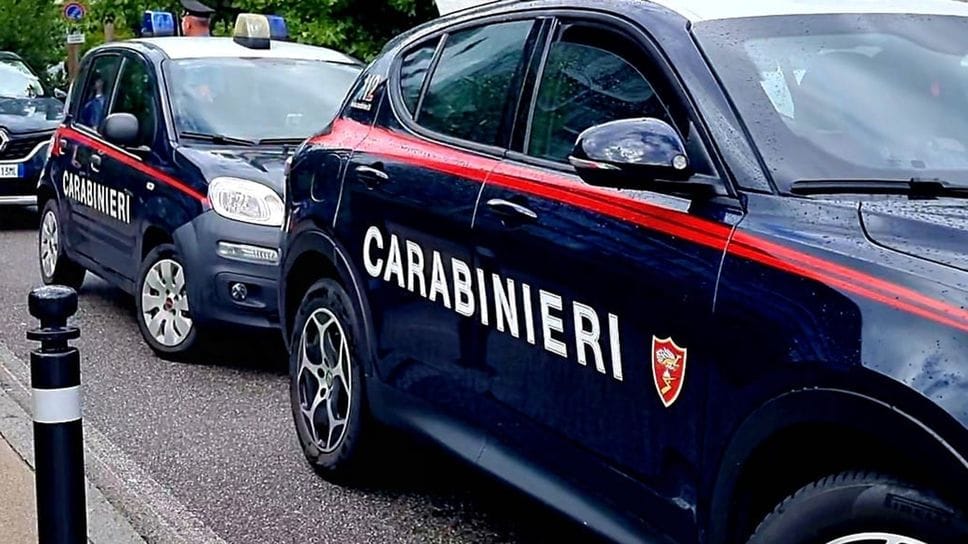 Caprino, uccelli protetti detenuti illegalmente: denunciato un 80enne