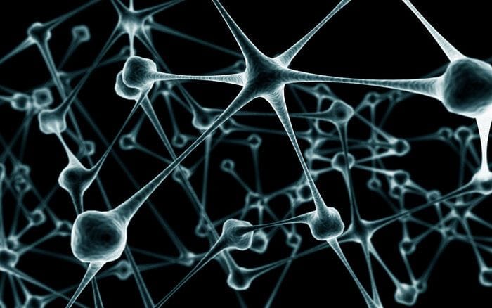 Dall'eredità di Avogadro la nuova visione molecolare della materia