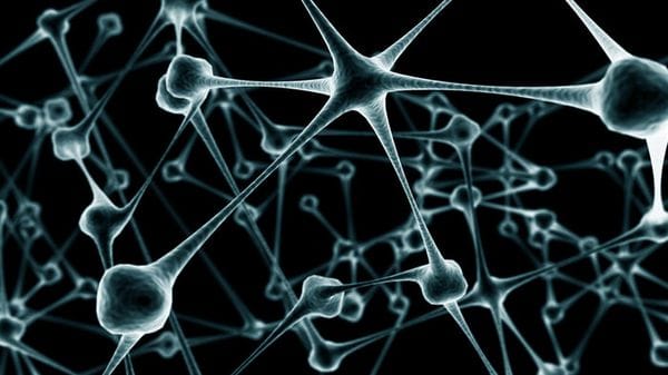 Dall'eredità di Avogadro la nuova visione molecolare della materia