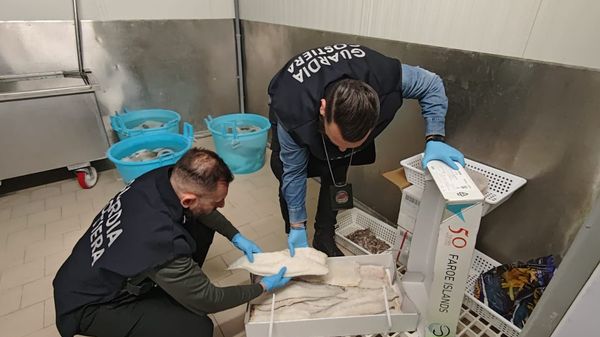 Irregolarità nelle etichette Maxi sequestro di pesce