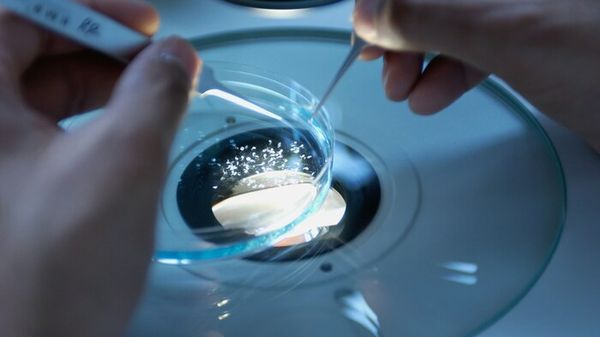 La ricerca italiana è solida, colmate le differenze tra istituzioni