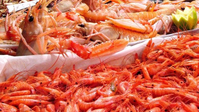 pesce irregolare sul lago d8217iseo sequestrate due tonnellate tra polpi brosme e falso tonno rosso da Ecodibergamo.it pesce irregolare sul lago d8217iseo sequestrate due tonnellate tra polpi brosme e falso tonno rosso