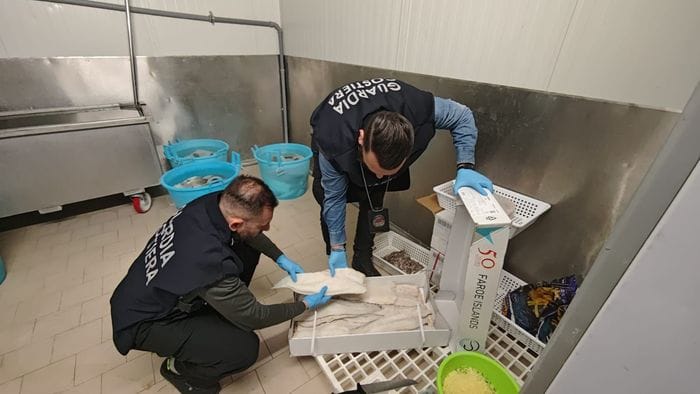 pesce non tracciato sul lago d8217iseo sequestrate due tonnellate tra polpi brosme e falso tonno rosso video