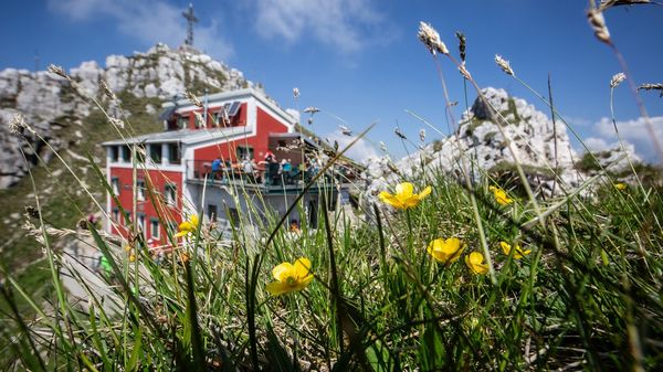 «Primavera al rifugio Azzoni...»