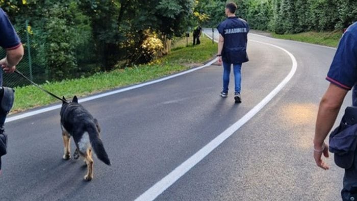 blitz dei carabinieri tra scanzorosciate e seriate tre denunce da Ecodibergamo.it blitz dei carabinieri tra scanzorosciate e seriate tre denunce