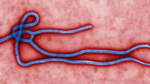 Ebola, i cinque punti cruciali dell'epidemia 