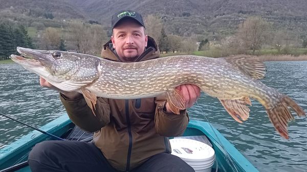 Non solo carpe Sul lago d’Endine si pesca il luccio