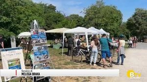 Ponte San Pietro, la gente si è riappropriata dell'isolotto