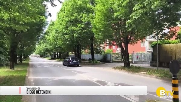 Stezzano, coccinelle per contenere l'infestazione dagli afidi