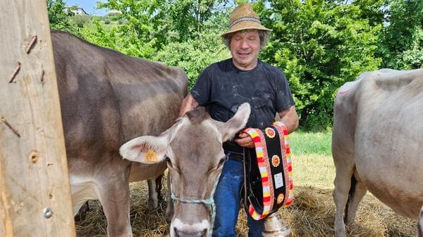 È Sonia la regina delle mucche della Fiera del Parco dei Colli - Foto e video