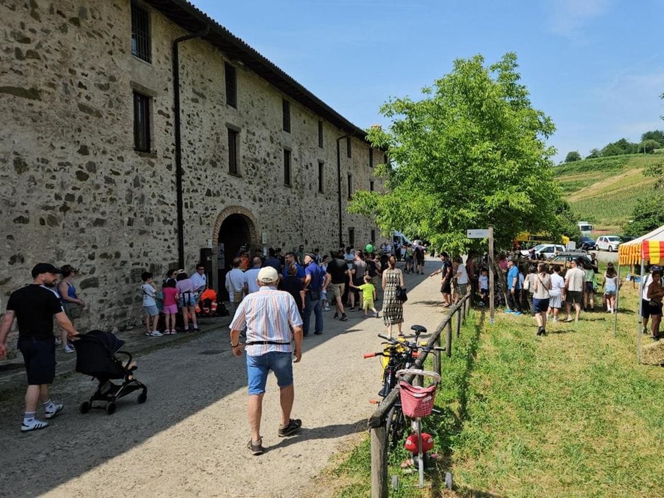 È Sonia la regina delle mucche della Fiera del Parco dei Colli - Foto e video