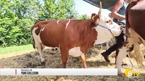 Fiera del Parco dei Colli di Bergamo, alla scoperta della cultura rurale