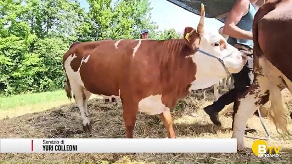 Fiera del Parco dei Colli di Bergamo, alla scoperta della cultura rurale