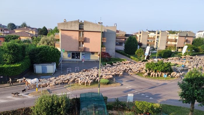 «Pacifica invasione...»