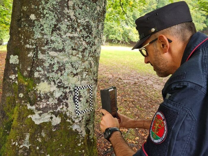 Carabinieri forestali, il sottobosco perde specie per siccità e ondate di calore