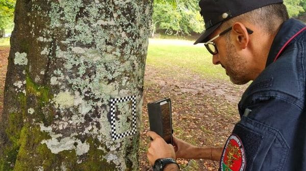 Carabinieri forestali, il sottobosco perde specie per siccità e ondate di calore