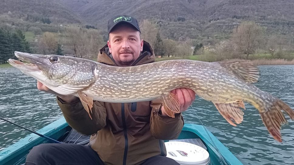 Non solo carpe, sul lago d’Endine impazza il luccio