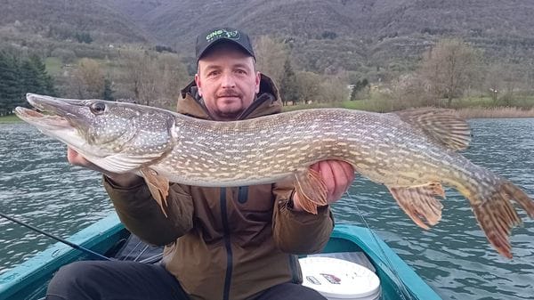 Non solo carpe, sul lago d’Endine impazza il luccio