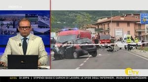 BERGAMO TG ORE12
