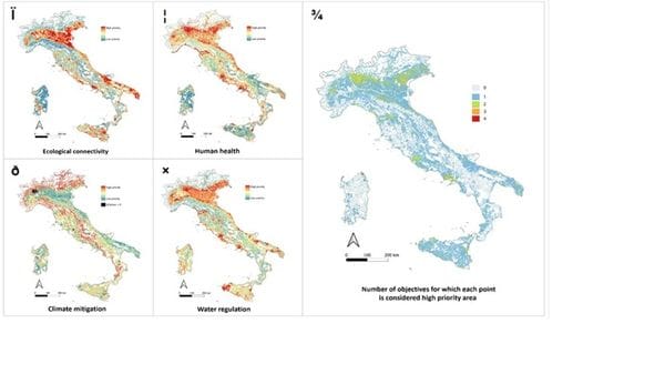 Da studio della Statale di Milano mappe per individuare zone per nuove foreste