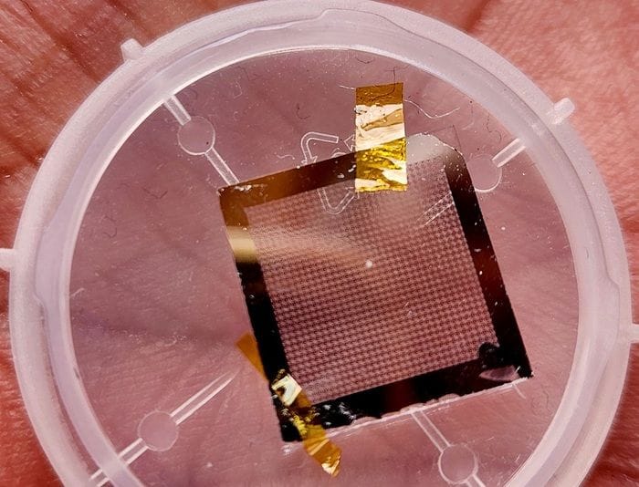 Dal 6G a internet quantistica, inaugurata la nuova sede di Restart