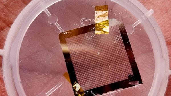 Dal 6G a internet quantistica, inaugurata la nuova sede di Restart