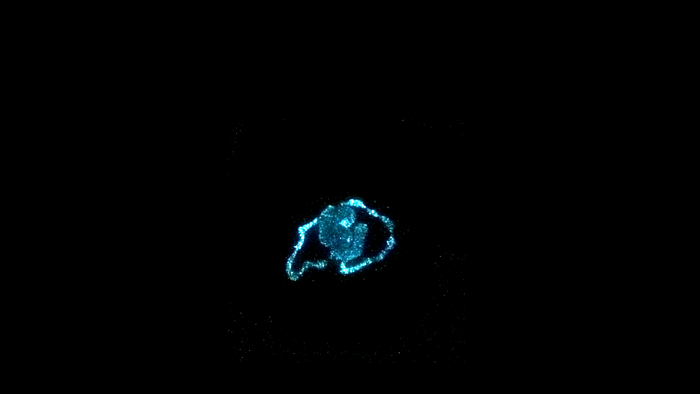 Materiali bioluminescenti grazie ad alghe vive attivate a comando